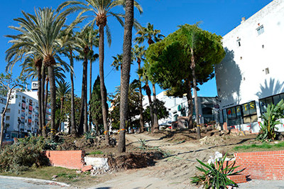 Presentada denuncia contra las obras del Paseo de las Palmeras que realiza el Ayuntamiento de Marbella